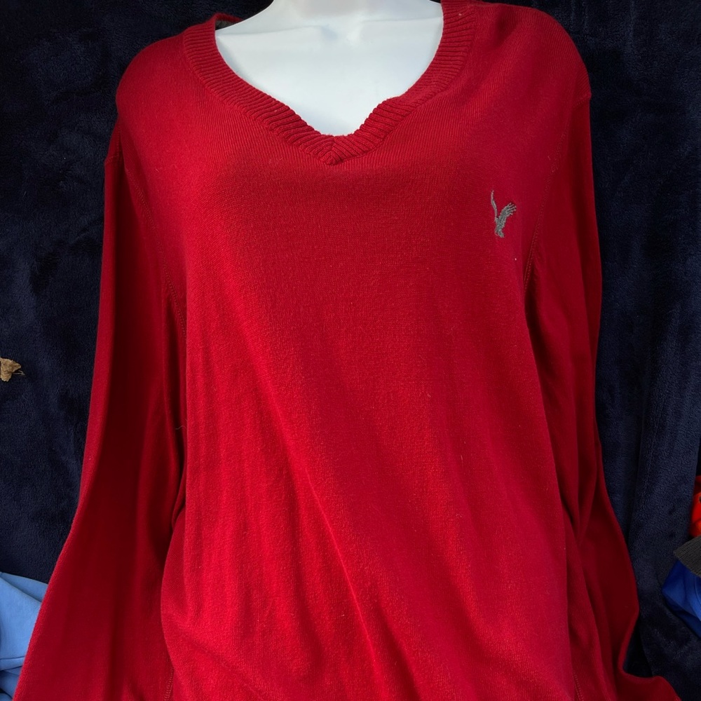 Large American eagle sweater